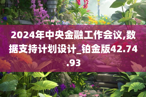 2024年中央金融工作会议,数据支持计划设计_铂金版42.74.93