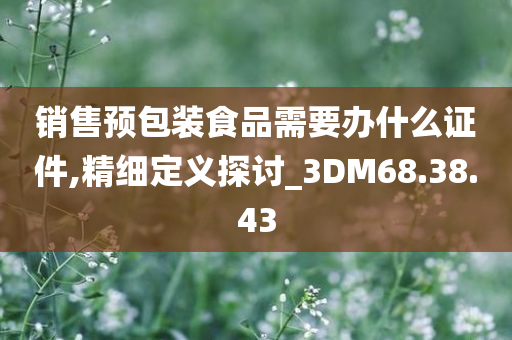 销售预包装食品需要办什么证件,精细定义探讨_3DM68.38.43