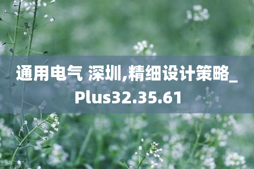 通用电气 深圳,精细设计策略_Plus32.35.61