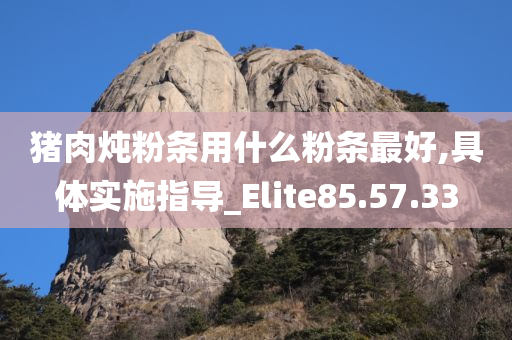 猪肉炖粉条用什么粉条最好,具体实施指导_Elite85.57.33