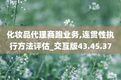 化妆品代理商跑业务,连贯性执行方法评估_交互版43.45.37