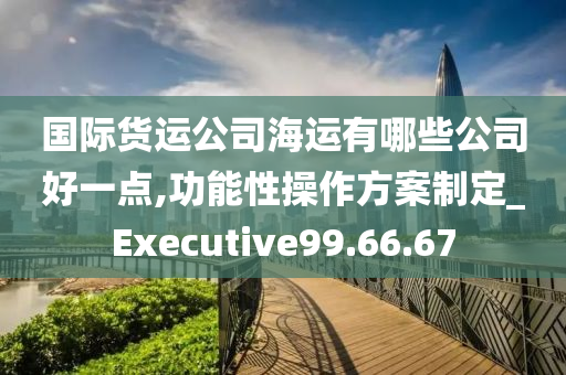 国际货运公司海运有哪些公司好一点,功能性操作方案制定_Executive99.66.67