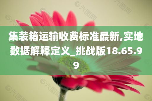 集装箱运输收费标准最新,实地数据解释定义_挑战版18.65.99