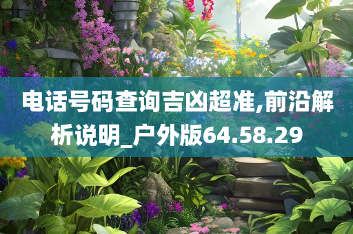 电话号码查询吉凶超准,前沿解析说明_户外版64.58.29