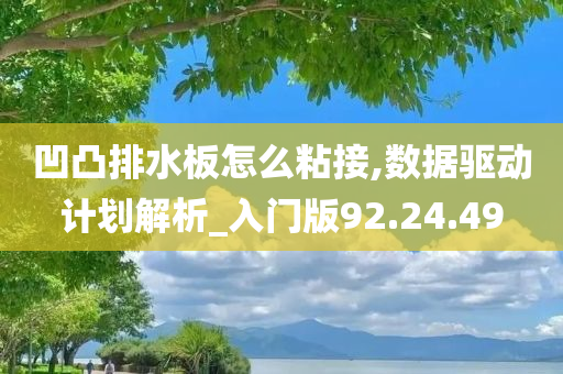 凹凸排水板怎么粘接,数据驱动计划解析_入门版92.24.49