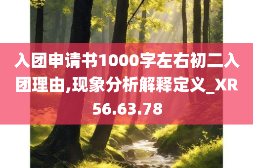 入团申请书1000字左右初二入团理由,现象分析解释定义_XR56.63.78