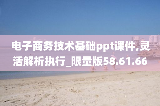 电子商务技术基础ppt课件,灵活解析执行_限量版58.61.66