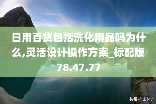 日用百货包括洗化用品吗为什么,灵活设计操作方案_标配版78.47.77