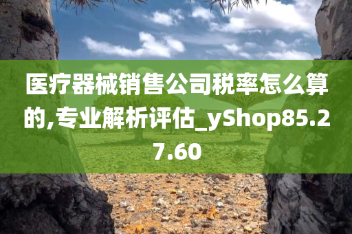 医疗器械销售公司税率怎么算的,专业解析评估_yShop85.27.60