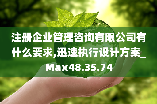 注册企业管理咨询有限公司有什么要求,迅速执行设计方案_Max48.35.74