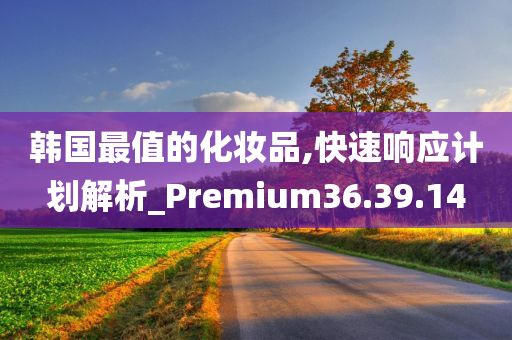 韩国最值的化妆品,快速响应计划解析_Premium36.39.14