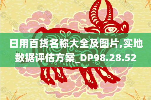 日用百货名称大全及图片,实地数据评估方案_DP98.28.52