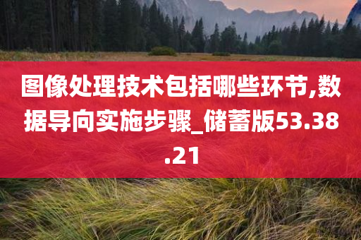 图像处理技术包括哪些环节,数据导向实施步骤_储蓄版53.38.21