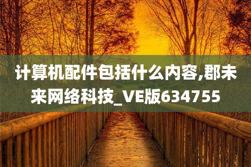 计算机配件包括什么内容,郡未来网络科技_VE版634755