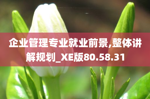 企业管理专业就业前景,整体讲解规划_XE版80.58.31