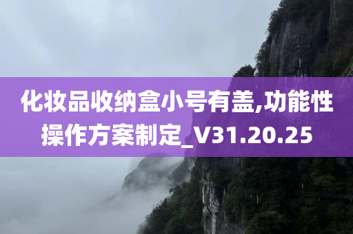 化妆品收纳盒小号有盖,功能性操作方案制定_V31.20.25