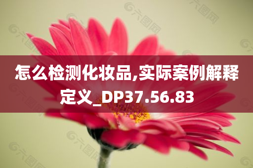 怎么检测化妆品,实际案例解释定义_DP37.56.83