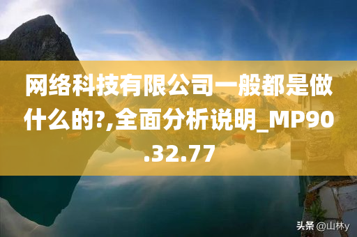 网络科技有限公司一般都是做什么的?,全面分析说明_MP90.32.77