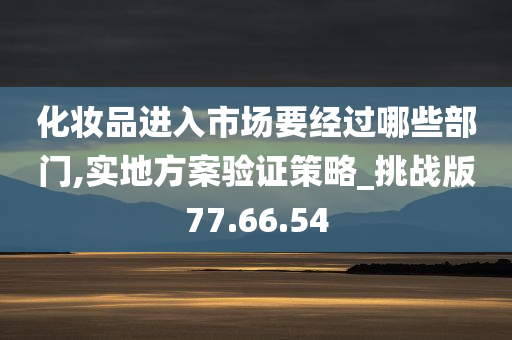 化妆品进入市场要经过哪些部门,实地方案验证策略_挑战版77.66.54