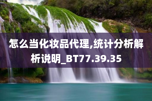 怎么当化妆品代理,统计分析解析说明_BT77.39.35