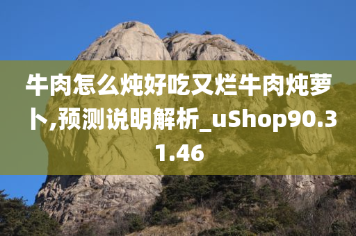 牛肉怎么炖好吃又烂牛肉炖萝卜,预测说明解析_uShop90.31.46