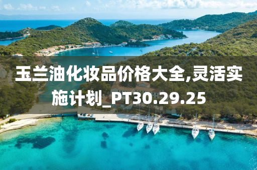 玉兰油化妆品价格大全,灵活实施计划_PT30.29.25