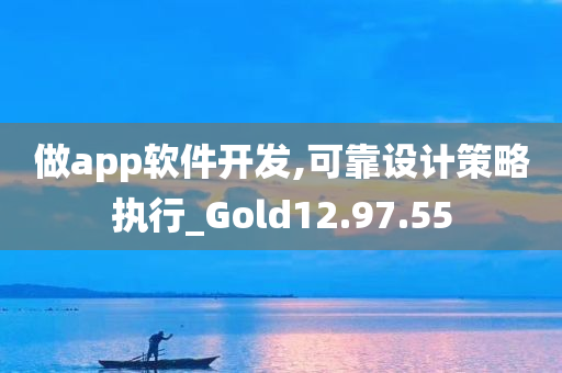 做app软件开发,可靠设计策略执行_Gold12.97.55