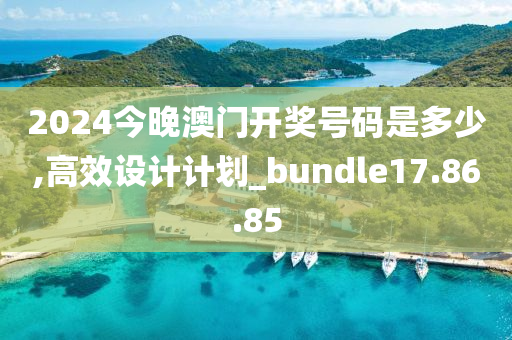 2024今晚澳门开奖号码是多少,高效设计计划_bundle17.86.85