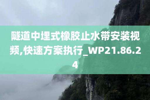 隧道中埋式橡胶止水带安装视频,快速方案执行_WP21.86.24