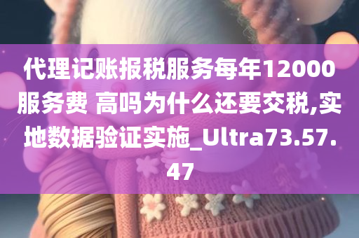 代理记账报税服务每年12000服务费 高吗为什么还要交税,实地数据验证实施_Ultra73.57.47