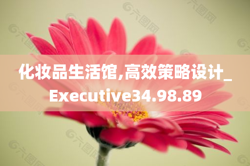 化妆品生活馆,高效策略设计_Executive34.98.89