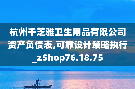 杭州千芝雅卫生用品有限公司资产负债表,可靠设计策略执行_zShop76.18.75