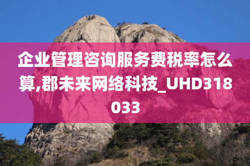 企业管理咨询服务费税率怎么算,郡未来网络科技_UHD318033