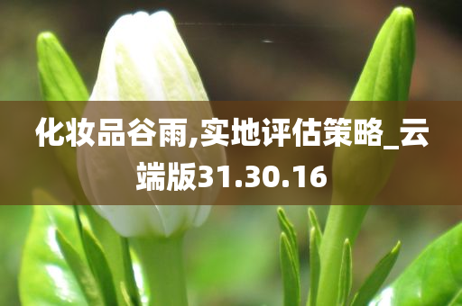 化妆品谷雨,实地评估策略_云端版31.30.16