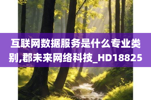 互联网数据服务是什么专业类别,郡未来网络科技_HD188250