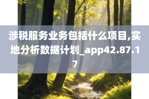 涉税服务业务包括什么项目,实地分析数据计划_app42.87.17