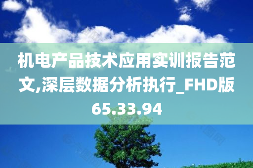 机电产品技术应用实训报告范文,深层数据分析执行_FHD版65.33.94