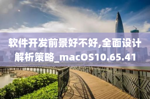 软件开发前景好不好,全面设计解析策略_macOS10.65.41