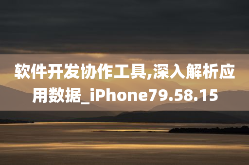 软件开发协作工具,深入解析应用数据_iPhone79.58.15