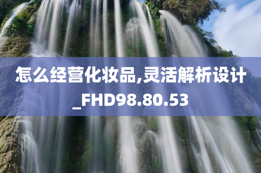 怎么经营化妆品,灵活解析设计_FHD98.80.53