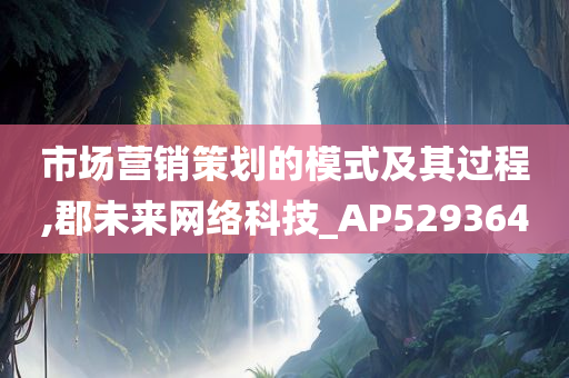 市场营销策划的模式及其过程,郡未来网络科技_AP529364