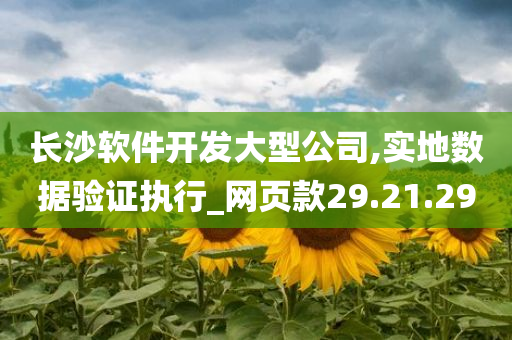 长沙软件开发大型公司,实地数据验证执行_网页款29.21.29