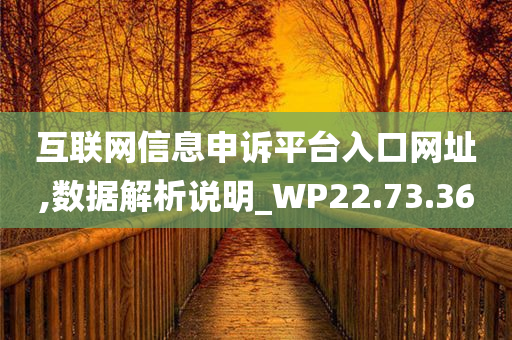 互联网信息申诉平台入口网址,数据解析说明_WP22.73.36