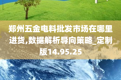 郑州五金电料批发市场在哪里进货,数据解析导向策略_定制版14.95.25