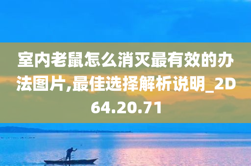 室内老鼠怎么消灭最有效的办法图片,最佳选择解析说明_2D64.20.71