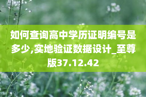 如何查询高中学历证明编号是多少,实地验证数据设计_至尊版37.12.42