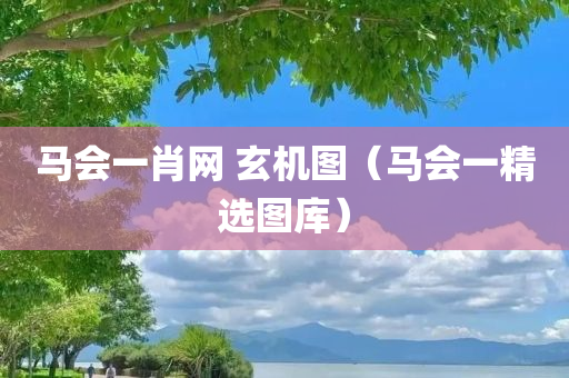 马会一肖网 玄机图（马会一精选图库）