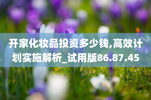 开家化妆品投资多少钱,高效计划实施解析_试用版86.87.45