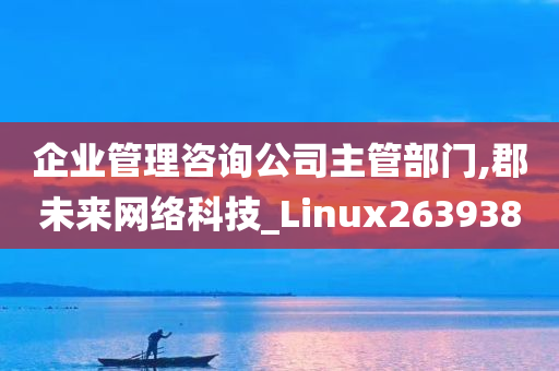 企业管理咨询公司主管部门,郡未来网络科技_Linux263938