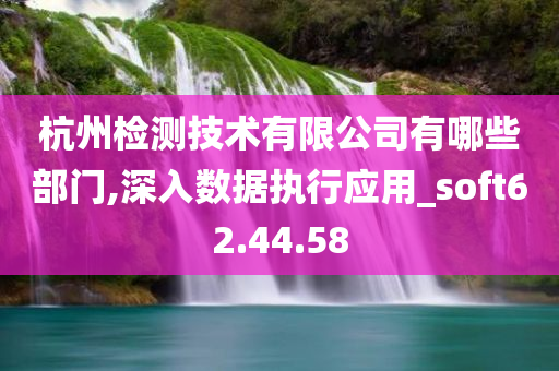 杭州检测技术有限公司有哪些部门,深入数据执行应用_soft62.44.58